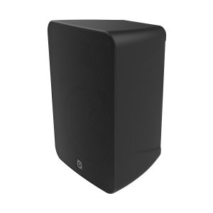 INTUSONIC 6FP80R 6" 2-way Outdoor Speaker black