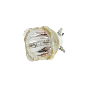 USHIO NSL 420 Reflector Discharge Lamp