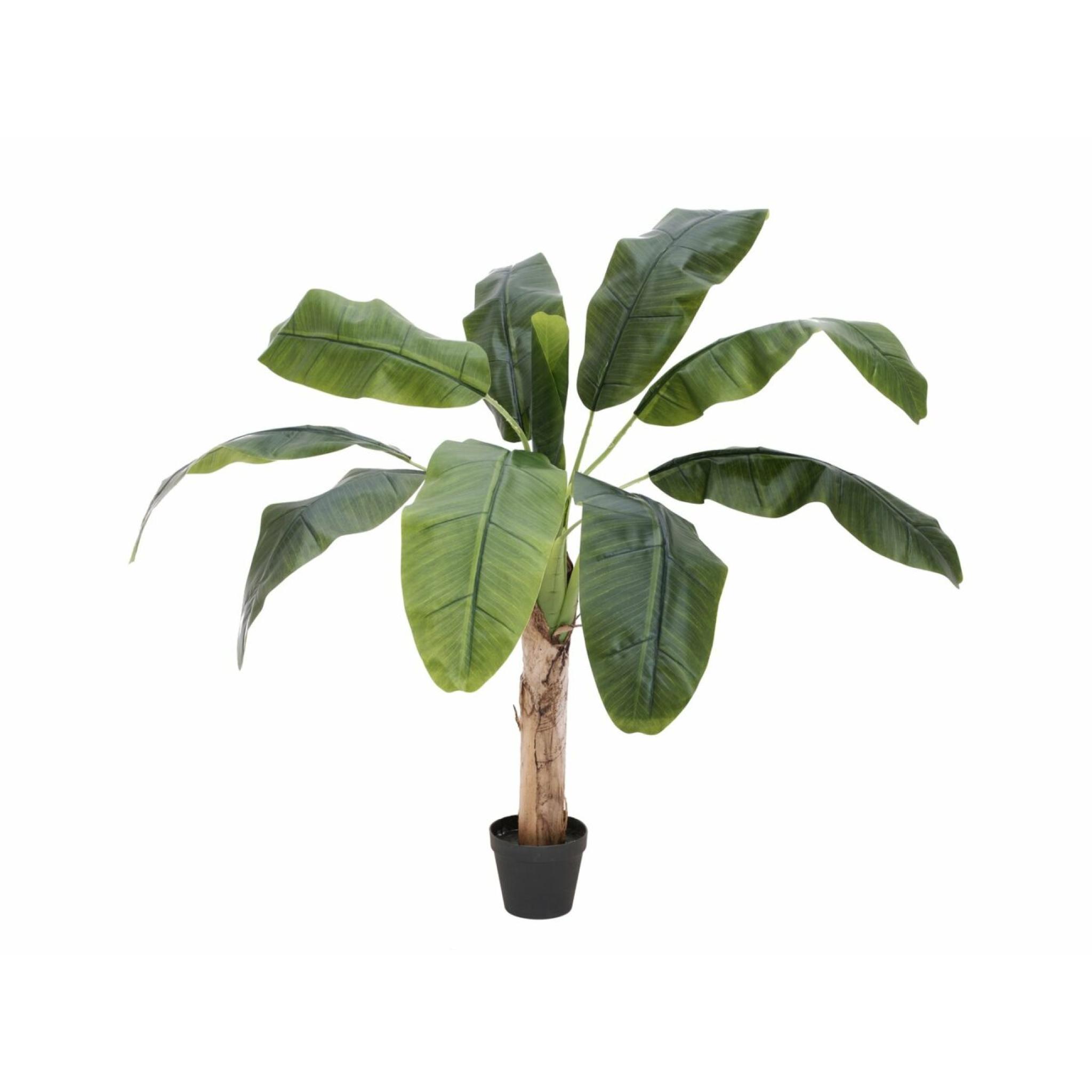 borst Planeet stoomboot Europalms Bananenboom - 100cm - Kunstplant - Bananenplant - Buzz-Shop.nl